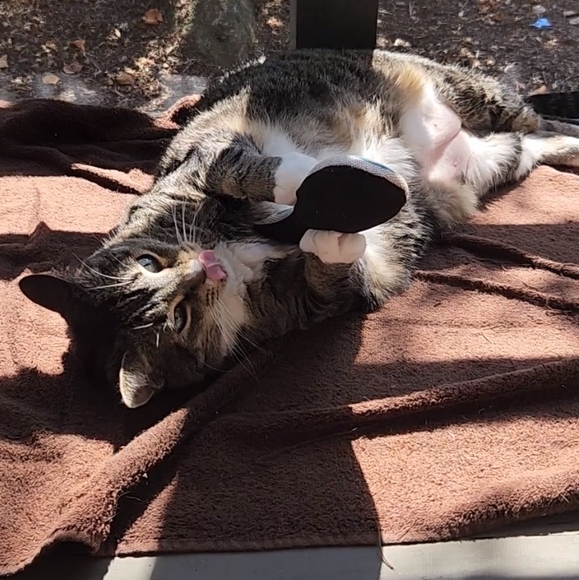 Meet Alex and Melon! - Picture 3 of 5